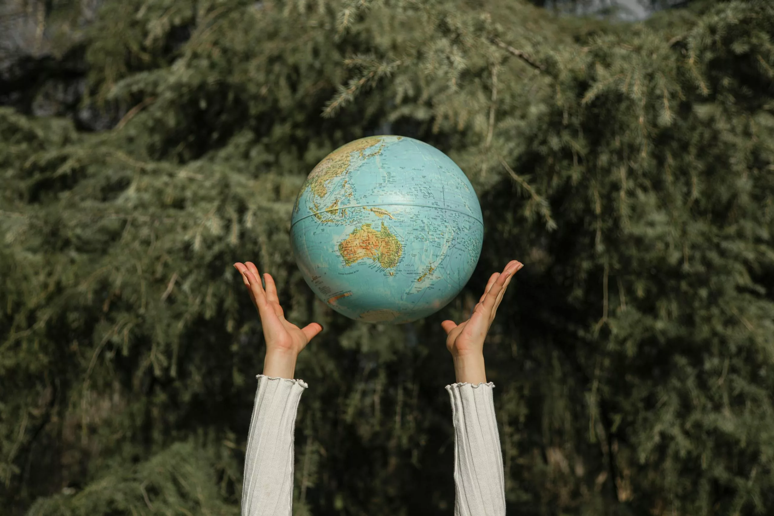 Hands raising a globe against a lush green tree backdrop, symbolizing environmental awareness.