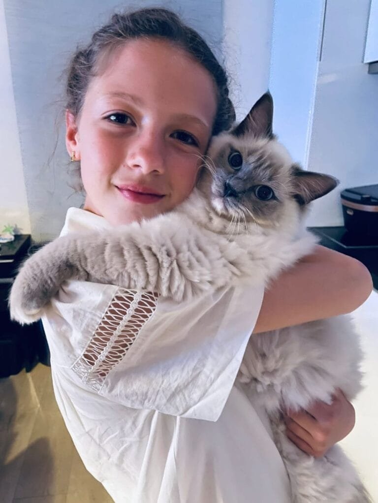 Dieren als helende gidsen (deel 1)