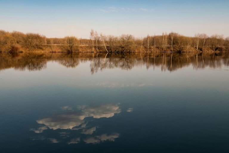 Stilstaand water met perfecte spiegeling van kale bomen langs de oever, contemplatieve natuurfoto die rust en aanwezigheid uitstraalt foto: Andrey Vasilev
