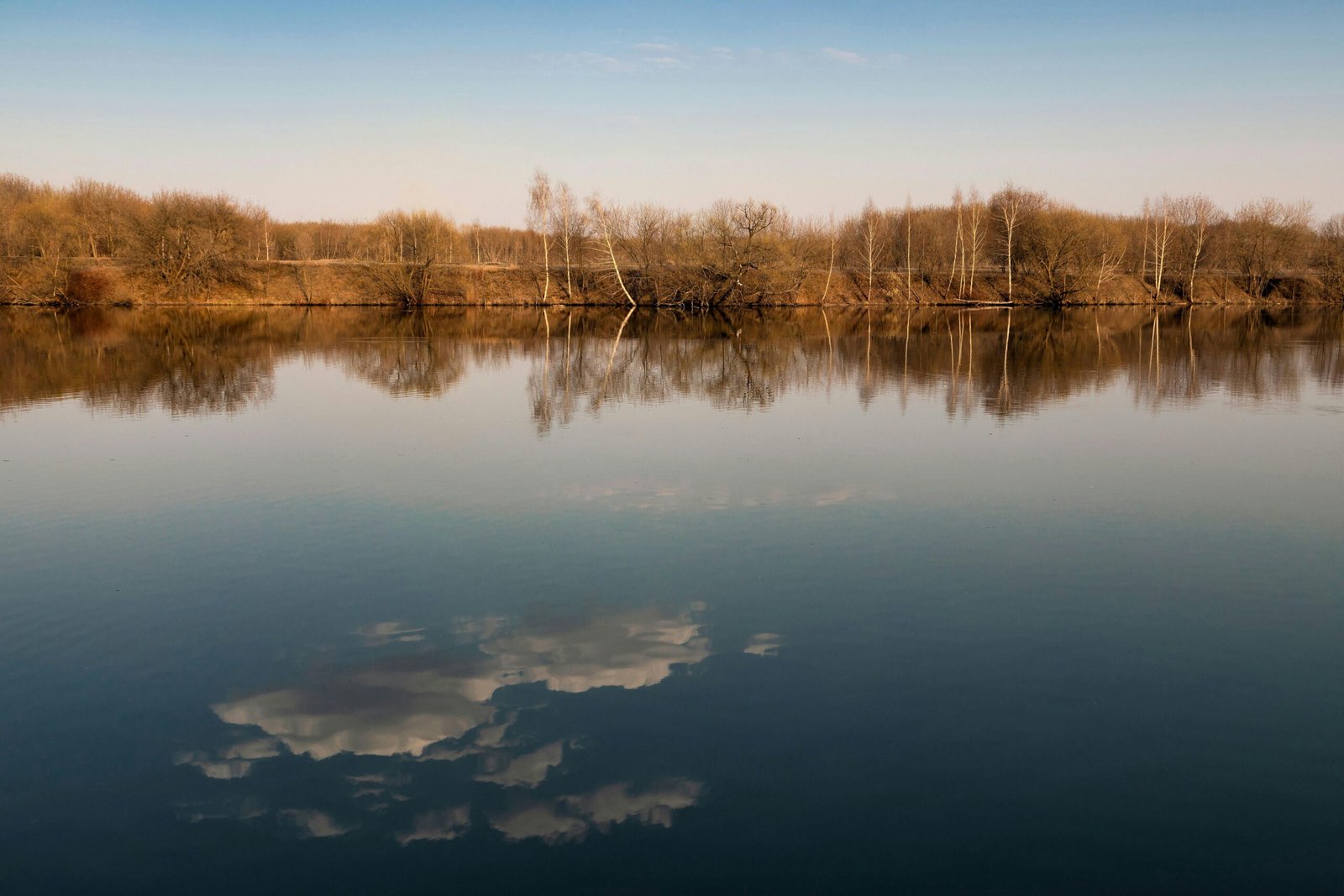 Stilstaand water met perfecte spiegeling van kale bomen langs de oever, contemplatieve natuurfoto die rust en aanwezigheid uitstraalt foto: Andrey Vasilev