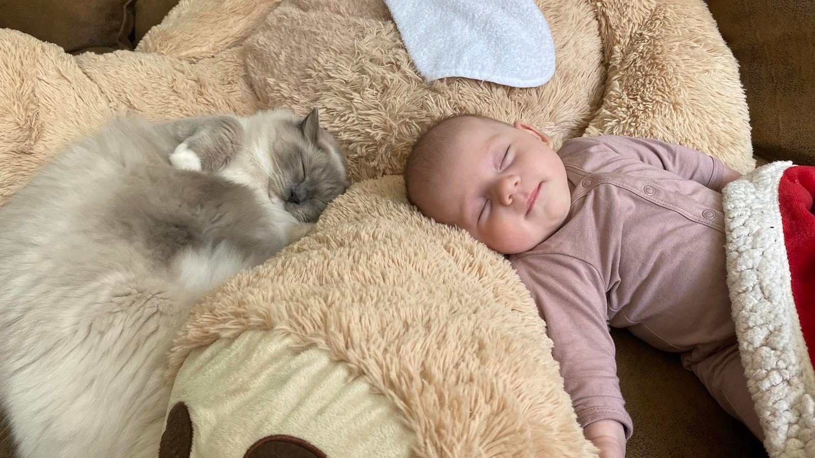 Een slapende baby ligt ontspannen op een zachte knuffeldeken naast een kat die dicht tegen hem aan ligt te slapen, in een warme en veilige sfeer. foto: Jasmine Model: poes van Jaslinne's catteru