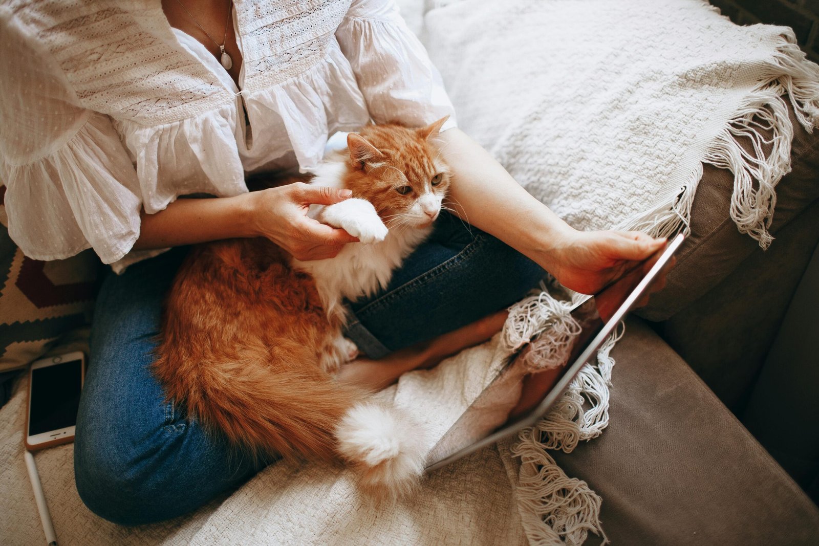 Vrouw zit thuis met een kat op schoot terwijl ze via een scherm een online reading volgt, warme huiselijke sfeer met rustige focus. foto: Helena Lopes