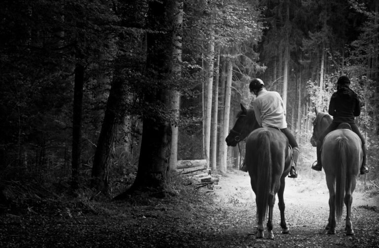 Twee ruiters te paard rijden samen over een smal pad door een stil bos tijdens een rustige buitenrit. foto: Ana Dolidze