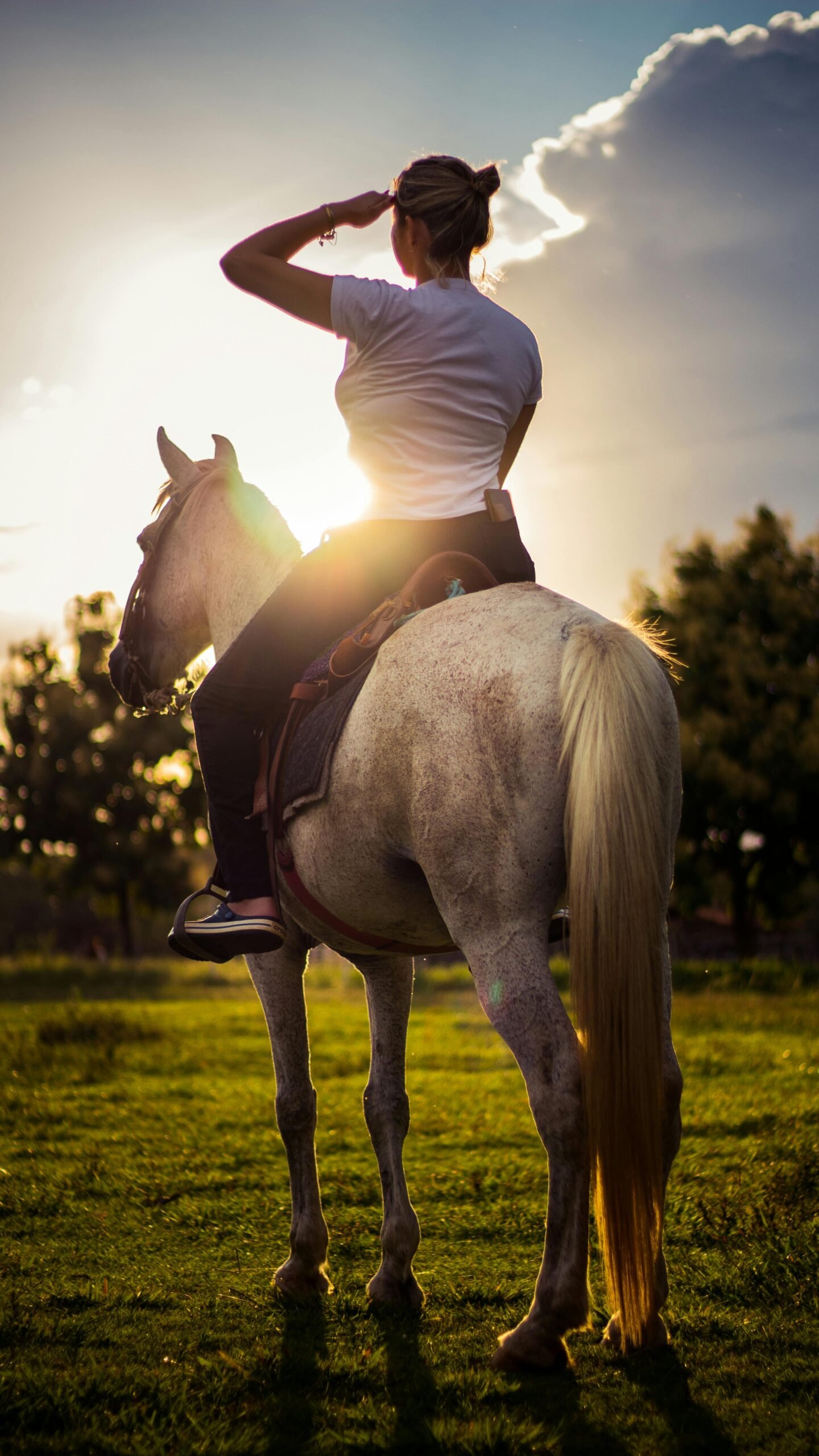 Ruiter te paard bij zonsondergang