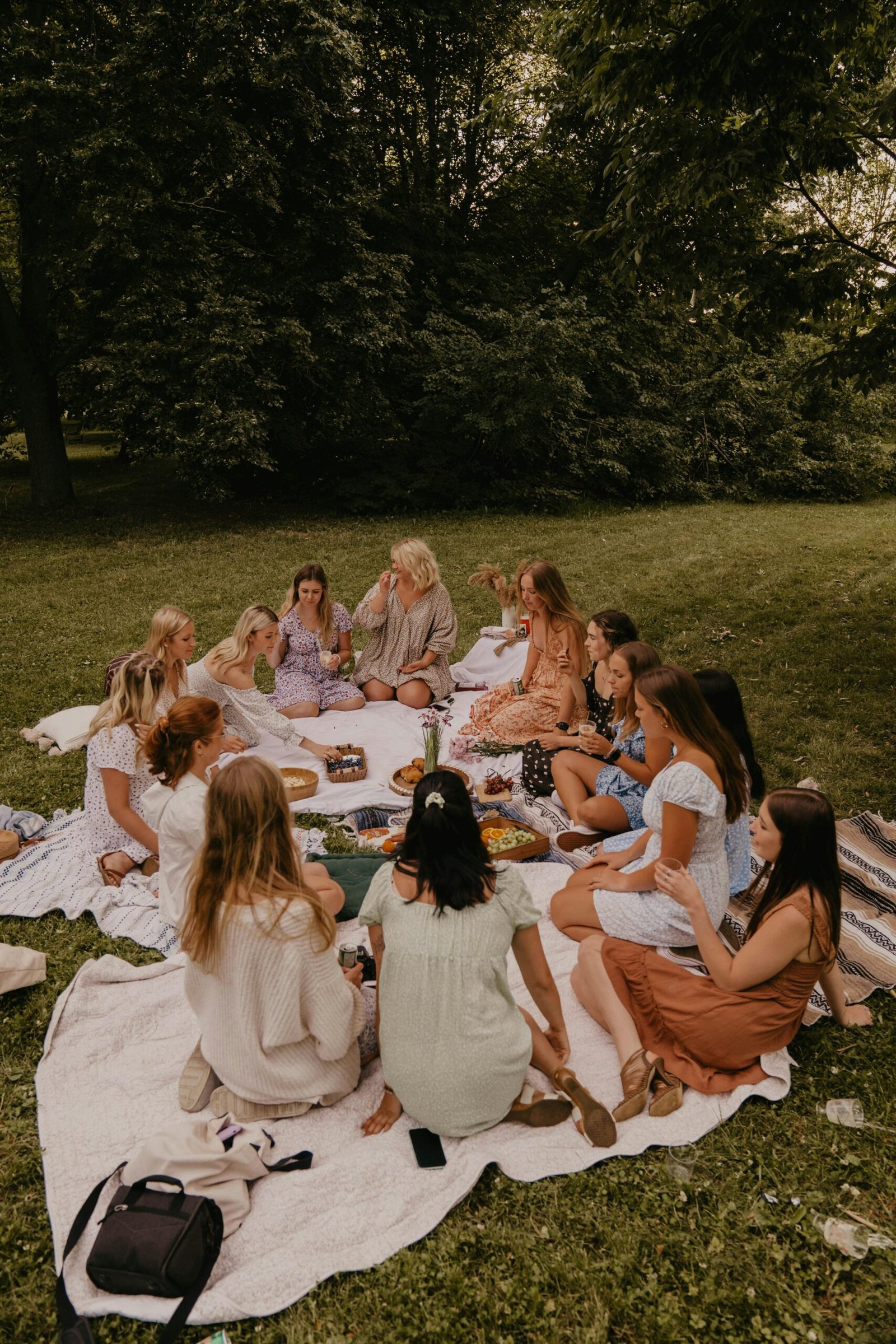 Groep vrouwen op picknick in het park